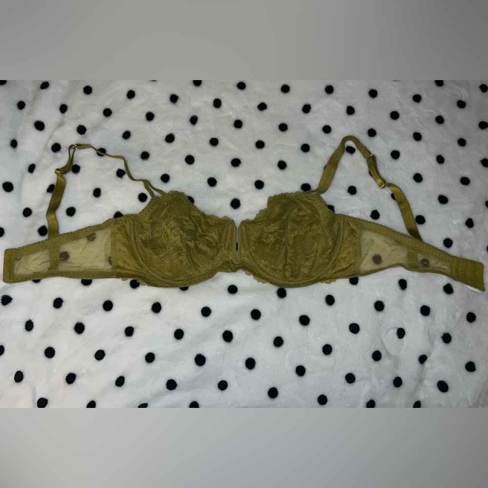 Leafy green lace bra.